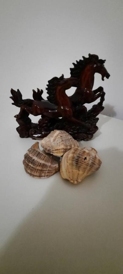 Apartament Clara Permet Apartment Bagian luar foto